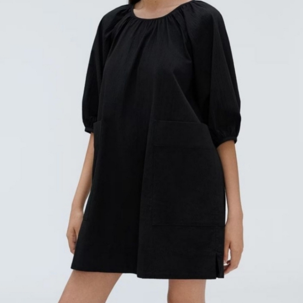 Everlane Organic Cotton Seersucker Puff Sleeve Mini Dress